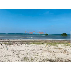 Kigamboni: Ocean Front Beach Plots For Sale - Dar