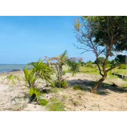 Kigamboni: Ocean Front Beach Plots For Sale - Dar - 2/4