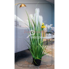 Green flower plant - 1