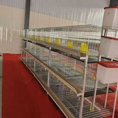 Broilers, Layers and Chicks Cages