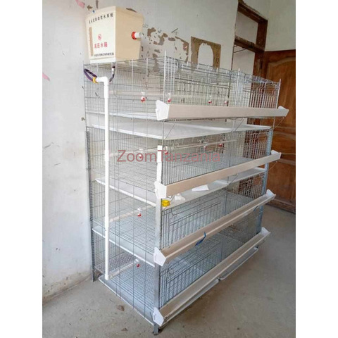 Broilers, Layers and Chicks Cages - 2/3