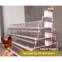 Broilers, Layers and Chicks Cages - 3