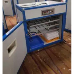 Automatic Eggs Incubators - 3