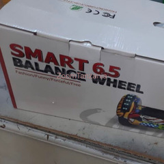 Smart Balance Wheel - 1