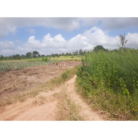 Shamba la ekari 4 linauzwa bagamoyo fukayosi - 2/4