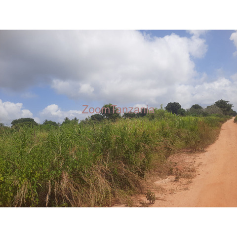 Shamba la ekari 4 linauzwa bagamoyo fukayosi - 4/4