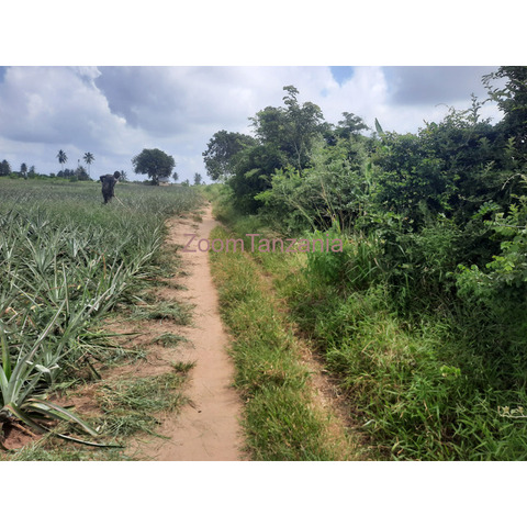 Shamba la ekari 3 linauzwa fukayosi bagamoyo - 1/4