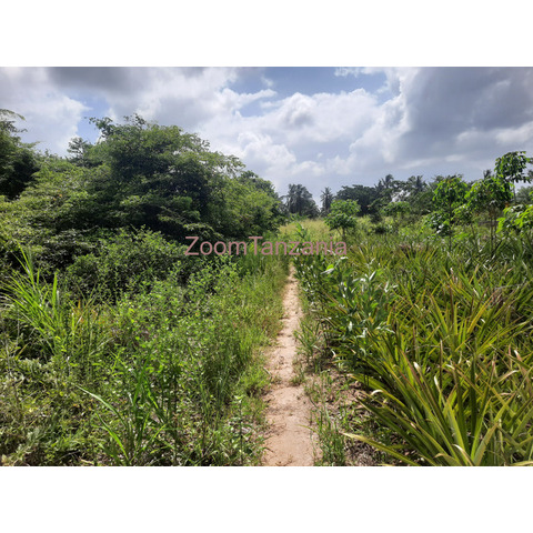 Shamba la ekari 3 linauzwa fukayosi bagamoyo - 3/4