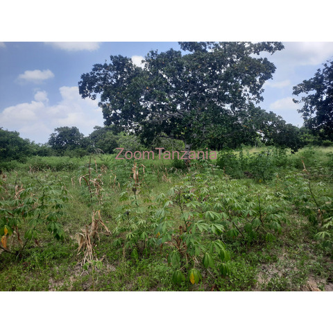 Shamba la ekari 3 linauzwa bagamoyo - 3/3