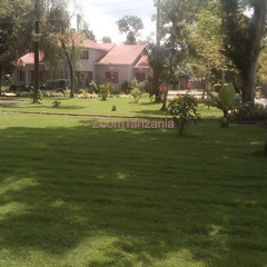 4BEDROOM FULLY FURNISHED HOUSE FOR RENT IN USA RIVER-ARUSHA - 3