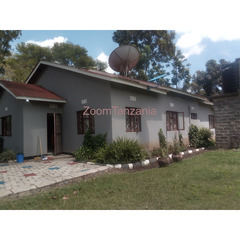 4BEDROOM FULLY FURNISHED HOUSE FOR RENT IN USA RIVER-ARUSHA - 4
