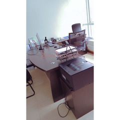 Executive Office Table-Black Coffee Color, Flash Doors, Lenovo Laptop - 1