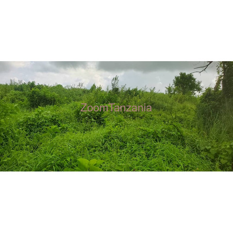 Land for sale - 1/4