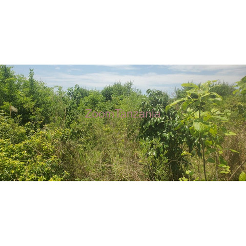 Land for sale - 3/4