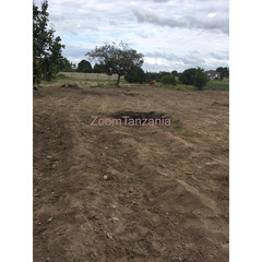 Land for sale - 2