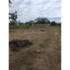 Land for sale - 3