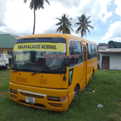NISSAN CIVILIAN SCHOOL BUS - 4