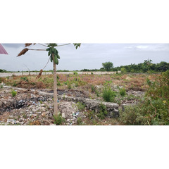 Jambiani land for sale - 1