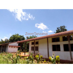 Cheap plot for sale with 2 acres Morogoro tother with three plots - 2