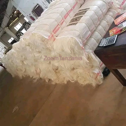 SISAL FIBER UG GRADE FOB  TANGA - 2/2