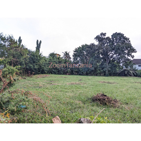 Plot for sale Savei Mlimani city Dar es salaam Tanzania - 3/3