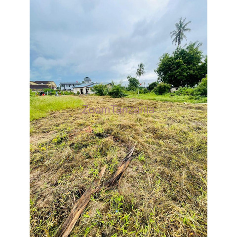 Plot for sale Bunju Beach Dar es salaam Tanzania. - 3/4