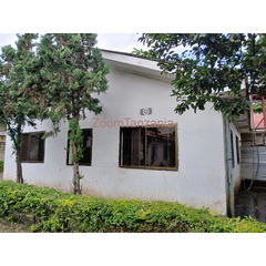 3BEDROOM APARTMENT HOUSE FOR RENT IN NJIRO-ARUSHA - 3