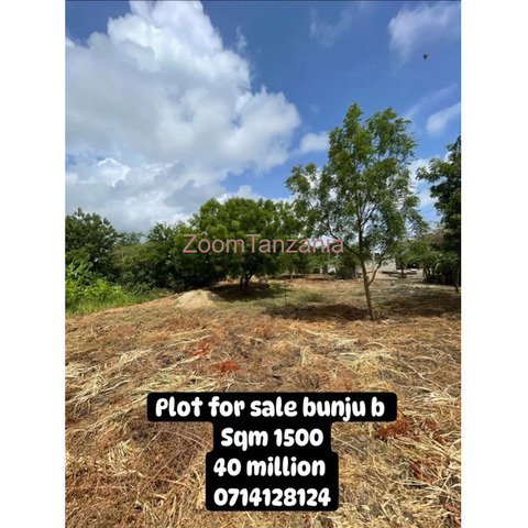 PLOT FOR SALE BUNJU B