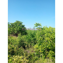 Land for sale Michamvi sea view at good price - 1