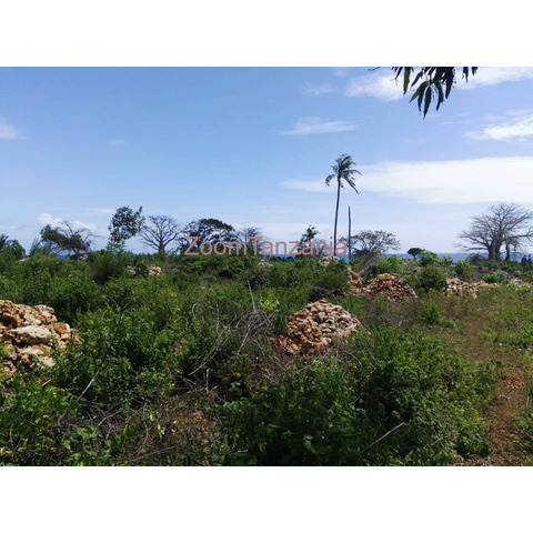 Seafront beach land at South coast Kizimkazi - 2/4