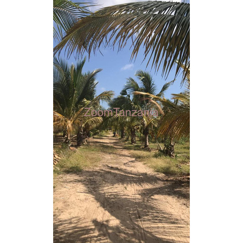 9 acres plot for sale at Buyuni Kigamboni Dar es salaam. - 2/3