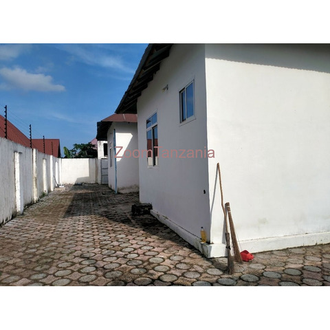 House in Tunguu, Zanzibar - 2/4