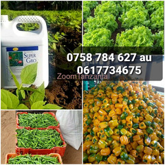 SUPER GRO Fertilizer/Mbolea (5L)