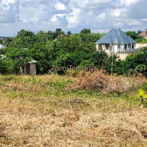 VIWANJA VINAUZWA MADALE KWA KAWAWA - 4/4