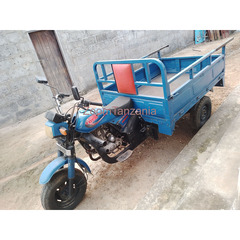 Tricycle motor - 1