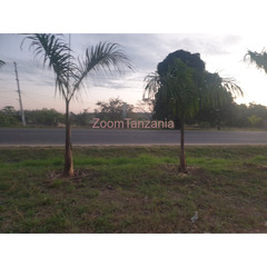 A COMMERCIAL PLOT FOR SALE AT MAPINGA BAGAMOYO NEAR HILL WATER FACTORY - 1