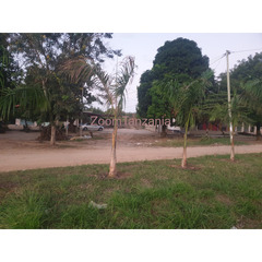 A COMMERCIAL PLOT FOR SALE AT MAPINGA BAGAMOYO NEAR HILL WATER FACTORY - 3