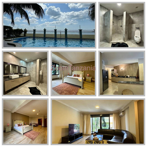 2bdrm Apartment for rent msasani beach - 2/3