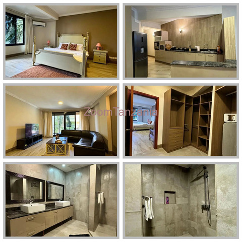 2bdrm Apartment for rent msasani beach - 3/3