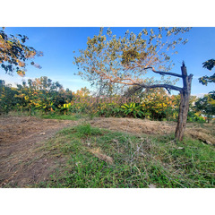 Plot for sale in Madale - 3