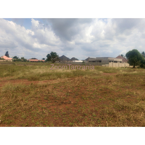 PLOT FOR SALE, IT'S LOCATED AT WAZO MASHAMBA YA JESHI - 4/4