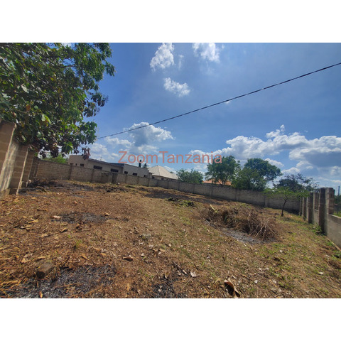 Plot for sale Goba Kulangwa - 4/4