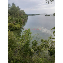 Beach Plot for Sale in Zanzibar - 1