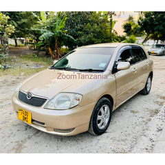 Toyota Runx for sale - 3