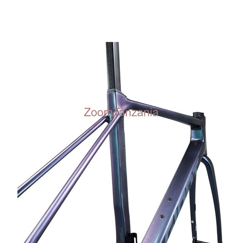 2025 Giant TCR Advanced Pro Frameset (ALANBIKESHOP) - 2/2