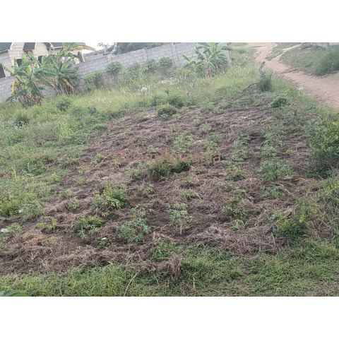 Plot for sale Bunju A - 3/3