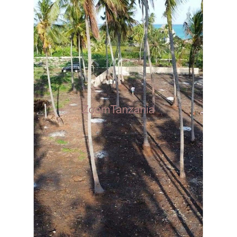 PLOT FOR SALE IN ZANZIBAR - 1/4