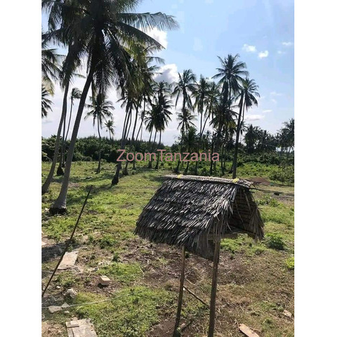 PLOT FOR SALE IN ZANZIBAR - 4/4