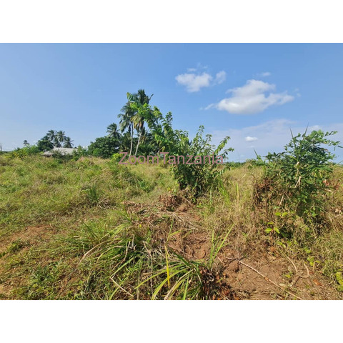 Plot for sale Mkuranga Dundani - 3/3