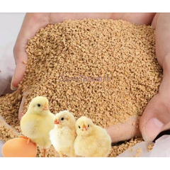 Poultry,s feed formulation - 2